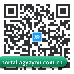 Android 系统版 二维码